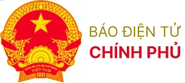 baodtchinhphu