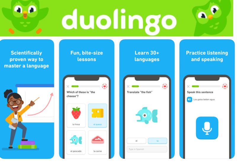 App Duolingo giúp bạn luyện tiếng Anh cơ bản
