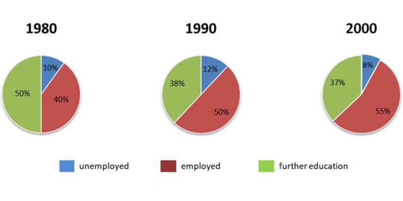 Cách viết bài Pie Chart IELTS Writing Task 1 dạng biểu đồ động