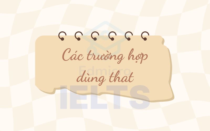 Các trường hợp dùng that trong mệnh đề quan hệ