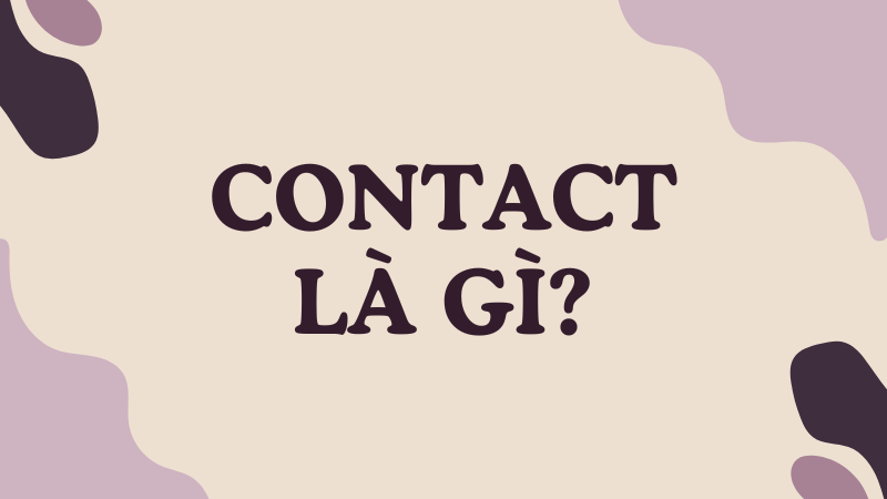 Contact là gì?