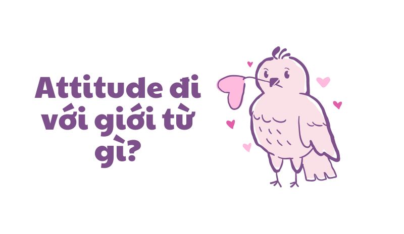 Các giới từ đi với Attitude 