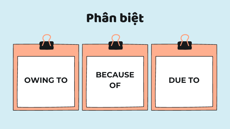 Owing to giống và khác gì Because of và Due to?