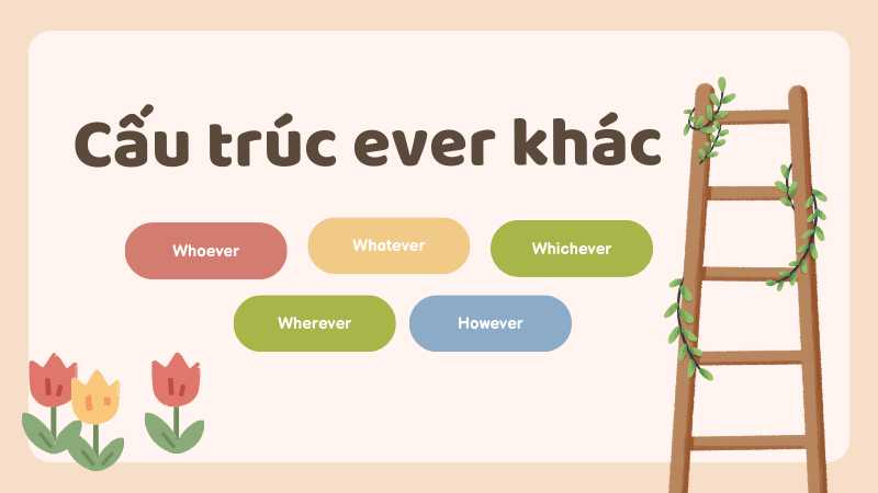 Các cấu trúc khác đuôi "ever" mà bạn nên nhớ