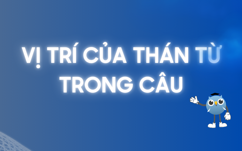 Vị trí của thán từ