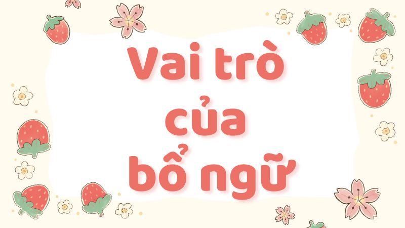 Vai trò của bổ ngữ