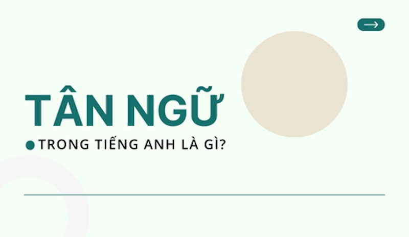 Định nghĩa tân ngữ