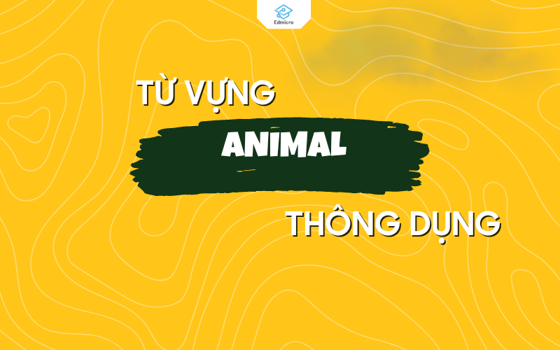 Từ vựng chủ đề animal