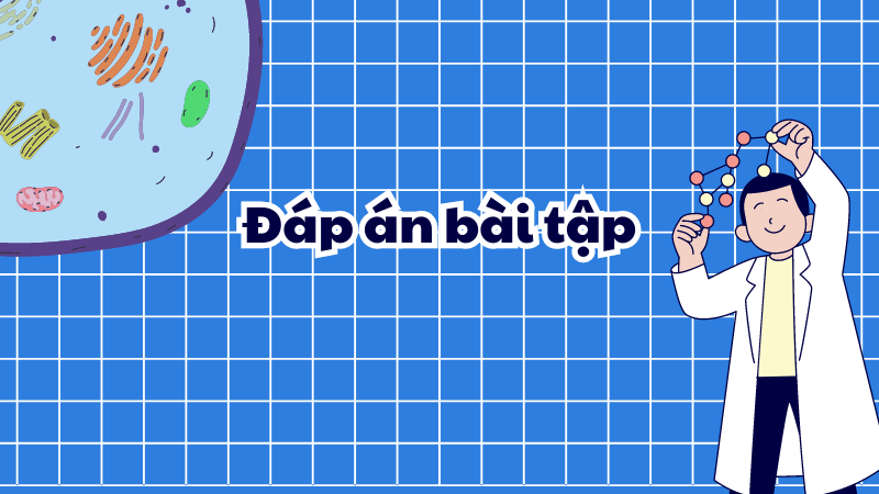 Đáp án bài tập