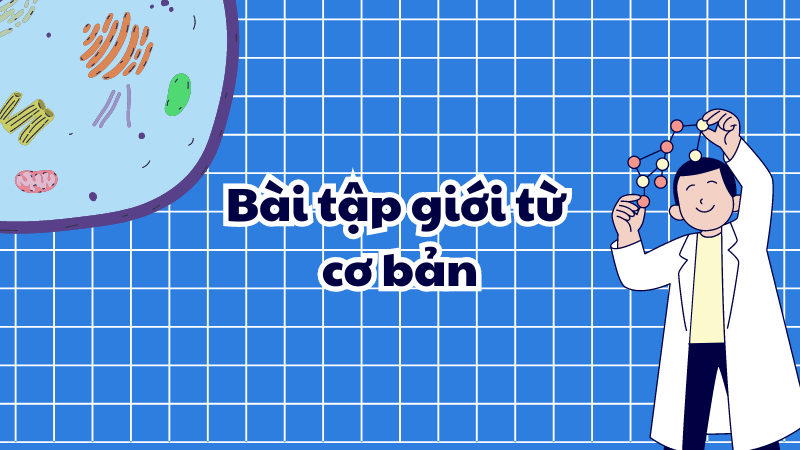 Bài tập giới từ cơ bản