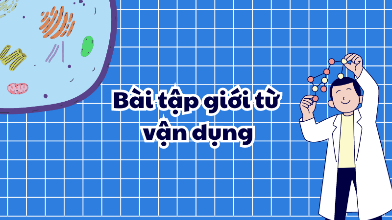 Bài tập giới từ vận dụng