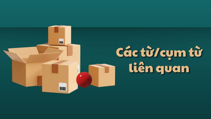 Các từ/cụm từ liên quan