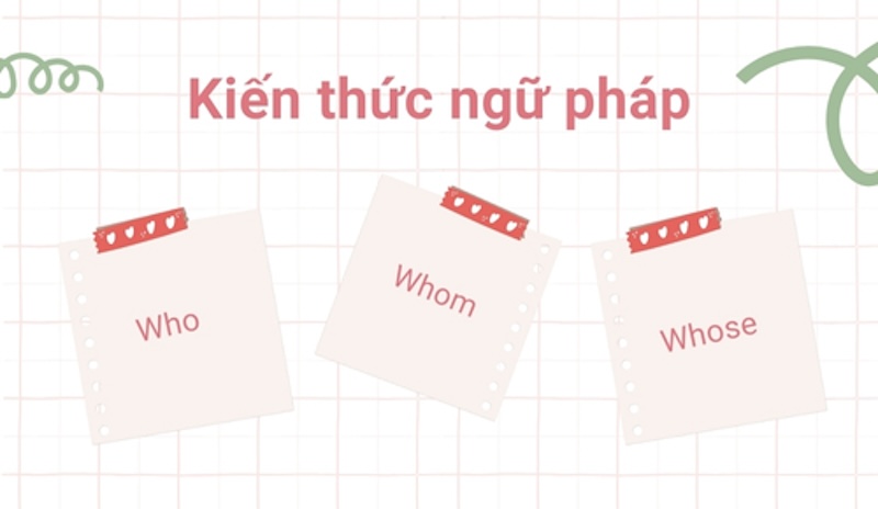 Cách Dùng Who Whom Whose – Bí Quyết Phân Biệt Dễ Hiểu Nhất