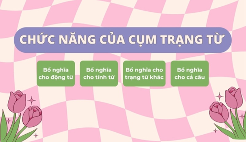 Các chức năng quan trọng