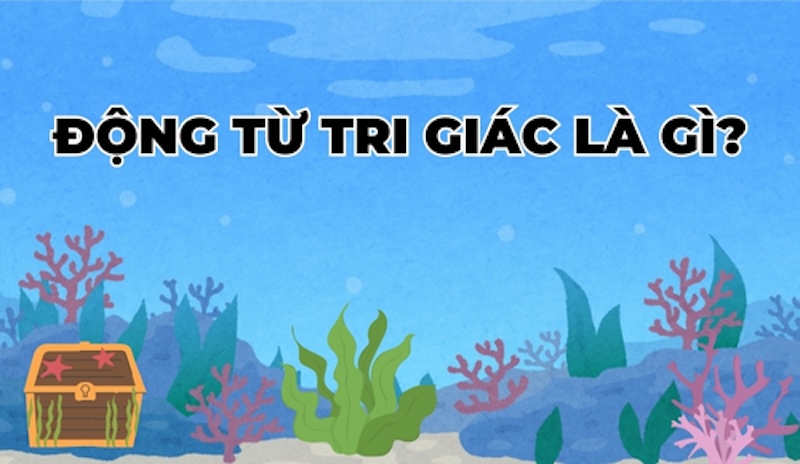 Định nghĩa động từ tri giác