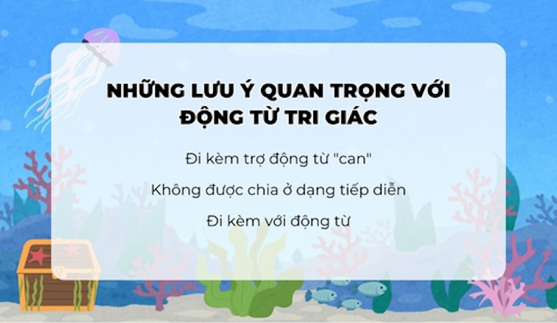 Lưu ý quan trọng