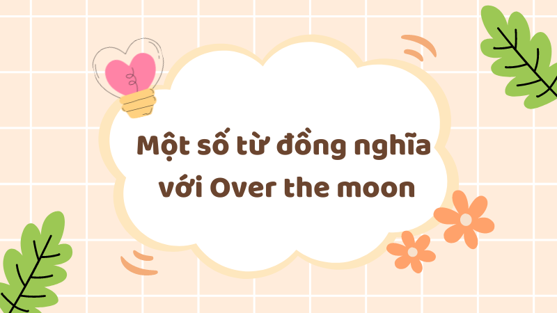 Một số từ đồng nghĩa với Over the moon