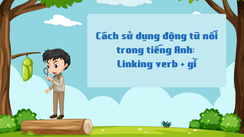 Cách sử dụng động từ nối trong tiếng Anh: Linking verb + gì Cách sử dụng động từ nối trong tiếng Anh