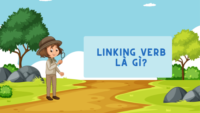Linking verb là gì? Linking verb là gì?