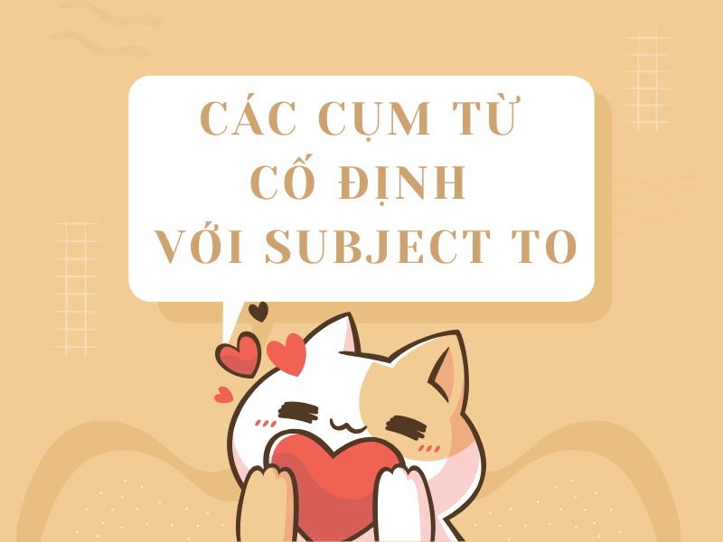 Các cụm từ cố định với Subject To