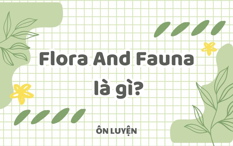 Flora and fauna là gì? Flora and fauna là gì?