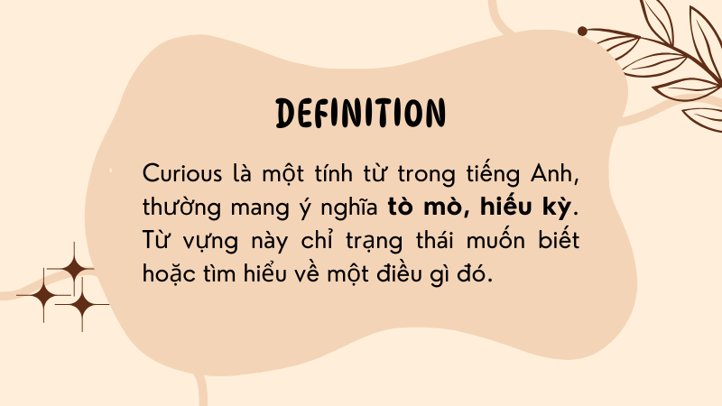 Định nghĩa curious