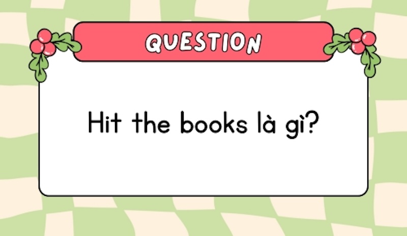Ý nghĩa hit the books