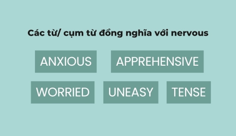 Các từ đồng nghĩa