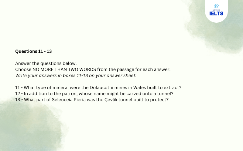 Question 11 - 13