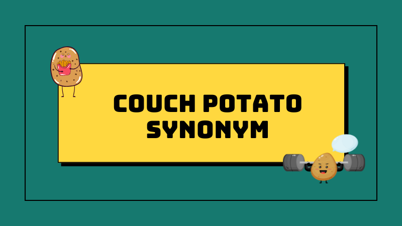 Couch potato synonym
