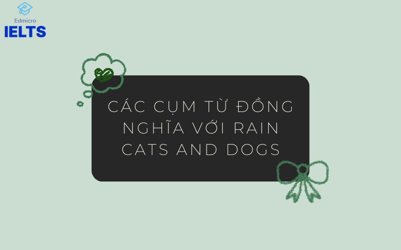 Các cụm từ đồng nghĩa với Rain cats and dogs