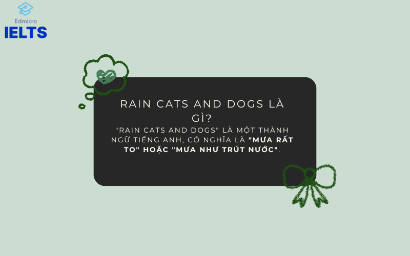 Rain cats and dogs là gì?